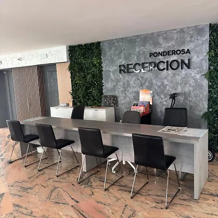 Under The Palm Lejlighed *