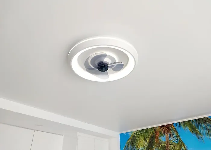 公寓 Under The Palm 美洲海滩