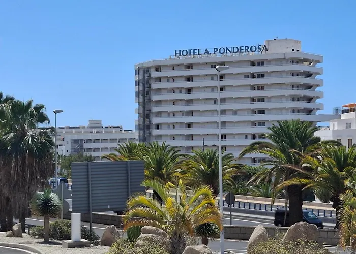 Apartman Under The Palm Playa de las Américas