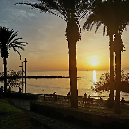 Under The Palm דירה