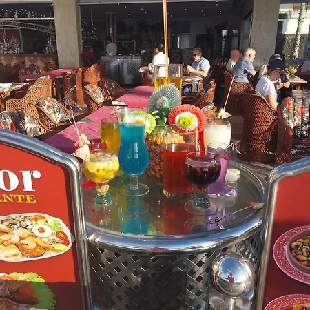 Under The Palm * פלאייה דה לאס אמריקס