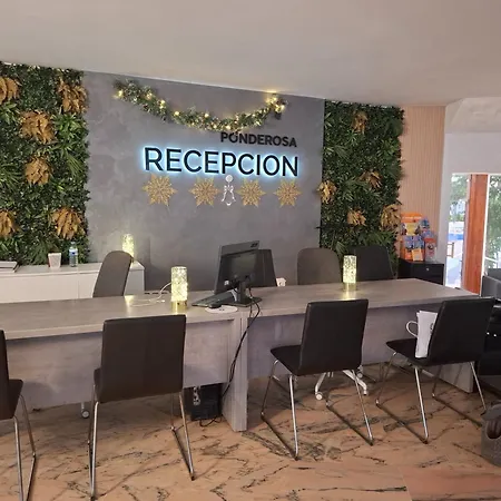 Under The Palm Apartament