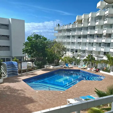 Under The Palm Apartment