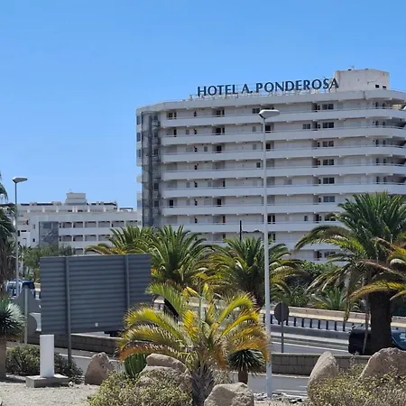 Apartamento Under The Palm Playa de las Americas (Tenerife)