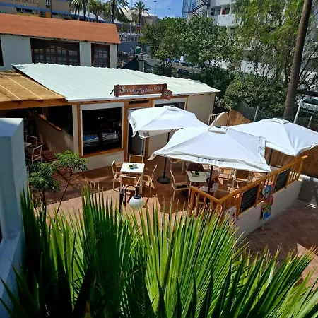 Apartamento Under The Palm