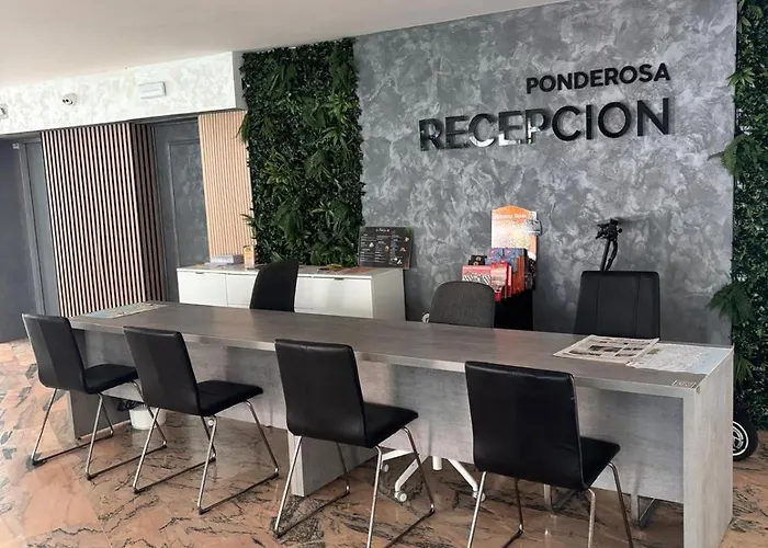 Under The Palm Apartamento *